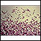 Clostridium difficile organism