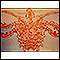 Pubic louse-male