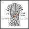 Pancreas